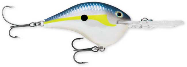 Rapala DT Series 8' 3/8 2" Helsinki Shad