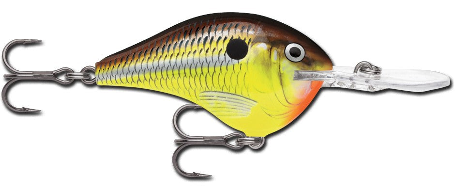 Rapala DT Series 16' 3/4 Hot Mustard