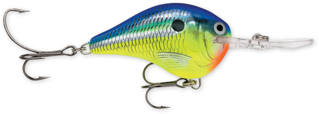 Rapala DT Series 16' 3/4 Parrot