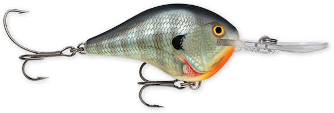 Rapala DT Series 10' 3/5oz 2.25in Blue Gill