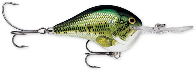Rapala DT Series 10' 3/5oz 2.25in Live River Shad