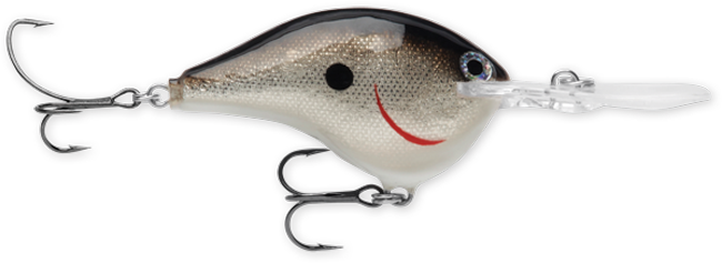 Rapala DT Series 16' 3/4 Silver