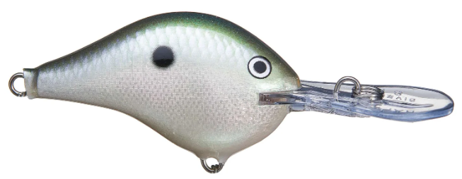 Rapala DT Series 8' 3/8 2" Green Gizzard Shad