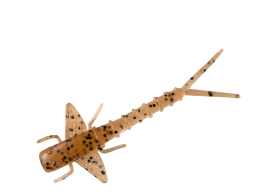 Bobby Garland Itty Bit Mayfly 1.25" 20ct Natural Cricket