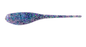 Bobby Garland Baby Shad 2in 18ct Cloudy Daze