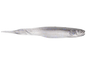 Missile Freedom Flyer 4.5"  5ct Electric Shad