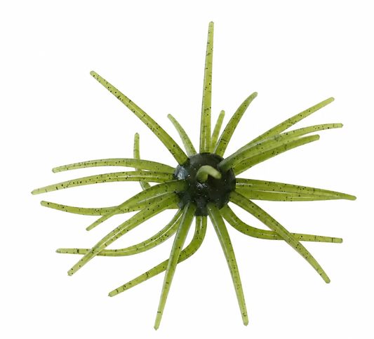 Head Hunter Spider Monkey 19MM Watermelon Seed