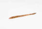 Zoom Finesse 4.75in 20/bag Pumpkin