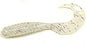 Action Bait 3in Curly Grubs 25pk Salt & Pepper