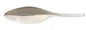 Bass A Tiny Shad 1.5in 15ct Black Shad