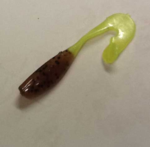 Bobby Garland Stroll'R 2.5" 12ct Pumpkin Seed/Pearl Cht.