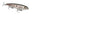 Strike King KVD Sexy Dawg 4.5in 7/8oz Green Gizzard Shad