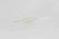 Zoom Super Fluke Jr 4in 10/bag White Ice