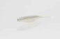 Zoom Super Fluke Jr 4in 10/bag Albino