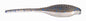 Bass A Pro Tiny Shad 2in 15ct Blue Thunder