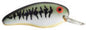Bomber Deep Flat A 3/8 2-1/2 4-8ft Baby Bass Orange