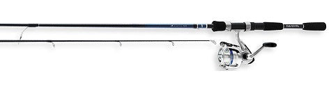 Daiwa Combo D-Shock Spinning Combo 2BB 5' 6