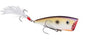 Strike King KVD Splash Jr 2.25in 1/4oz TN Shad 2.0