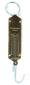 Eagle Claw Tool Spring Scale 50lb