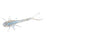 Bobby Garland Itty Bit Mayfly 1.25" 20ct Monkey Milk