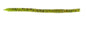 Zoom Swamp Crawler 5.5in Watermelon Red 25pk