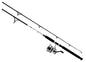 Daiwa Combo D-Wave Spin Combo 1BB 10' 2pc M