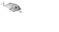 Strike King Hybrid Hunter Shallow 1oz 3.5in 1-3ft Smooth