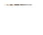 H&H Porqupine Quills 8" 12ct