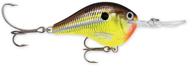 Rapala DT Series 6' 3/8 2