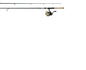 Daiwa Combo D-Shock Spinning Combo 1BB 6'" 2pc ML w/8lb Line