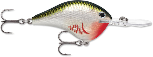 Rapala DT Series 16' 3/4 Bleeding Olive Shiner