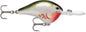 Rapala DT Series 16' 3/4 Bleeding Olive Shiner