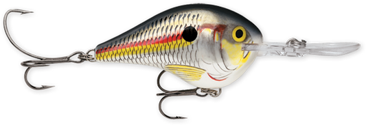Rapala DT Series 16' 3/4 Shad