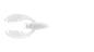 NetBaitBF Paca Chunk Sr 3.25in White 5ct