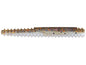 Rapala CrushCity Ned BLT 3in10ct Goby
