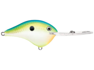 Rapala DT 20' Series Citrus Shad