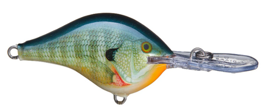 Rapala DT Series 8' 3/8 2" Bluegill