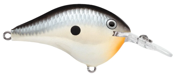Rapala DT Series 6' 3/8 2