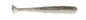 Z-MAN Drop Kickerz 3.5in. Electric Shad 5pk