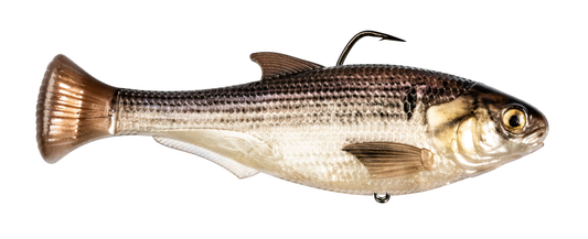 Z-MAN Shadtron LT4.5in. Fast Sink Gizzard Shad