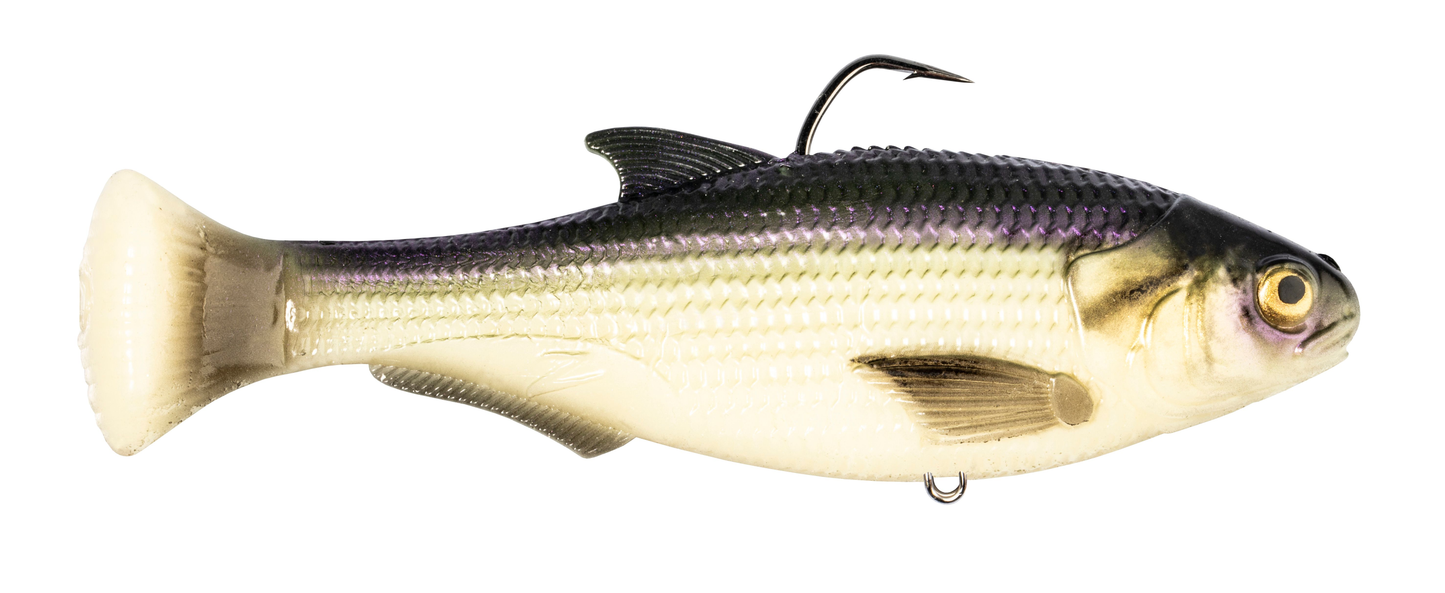 Z-MAN Shadtron LT6in. Fast Sink Fishbone