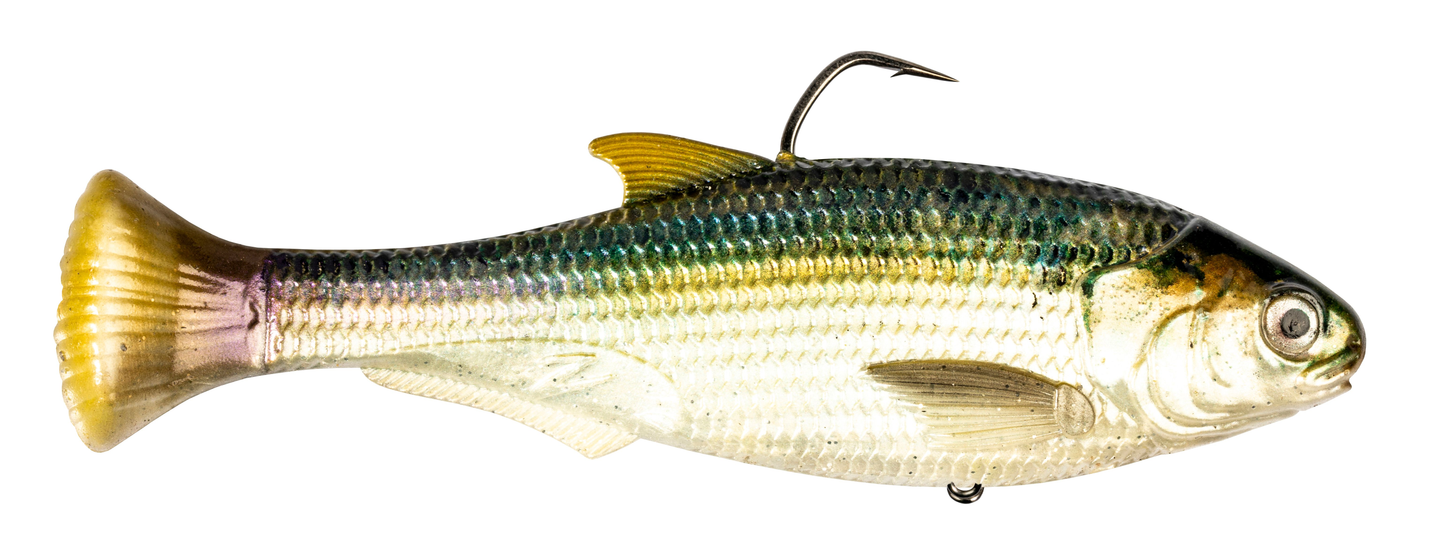 Z-MAN Shadtron LT6in. Slow Sink Blueback Herring