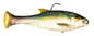 Z-MAN Shadtron LT4.5in. Slow Sink Blueback Herring