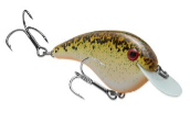 Strike King Chick Magnet Jr 1/4oz  2-4ft Rootbeer