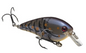Strike King KVD Square Bill 7/16oz Blue Craw