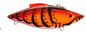Bill Lewis Rattle Trap 1/2 Creole Craw