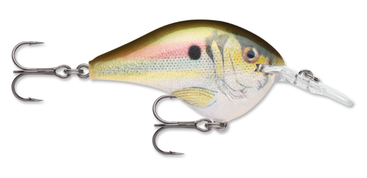 Rapala DT Series 6' 3/8 2" Live River Shad