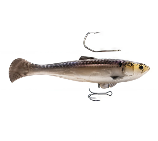 Z-Man SWAG LT 6" GIZZARD SHAD