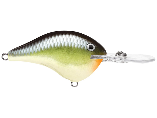 Rapala DT Series 12' 3/5oz 2.25in Smash