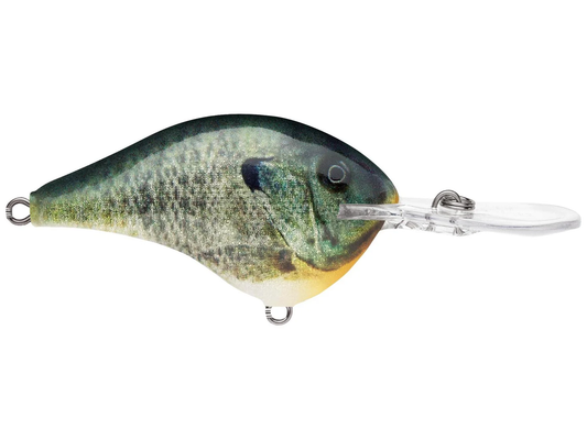 Rapala DT Series 12' 3/5oz 2.25in Live Bluegill